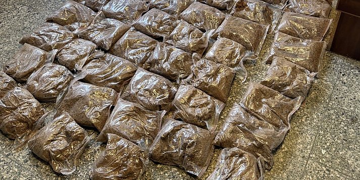 Akcja poznańskiej Policji na terenie Środy. Zatrzymany 41-latek