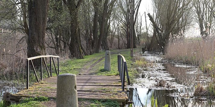 Potęga Giecza i nieodkryte skarby jeziora Biskupice