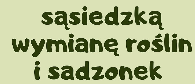Sąsiedzka wymiana roślin i sadzonek-3458