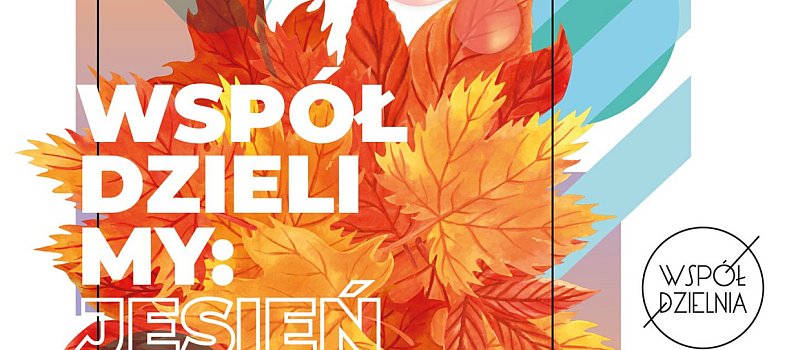 Współdzielimy jesień-3721