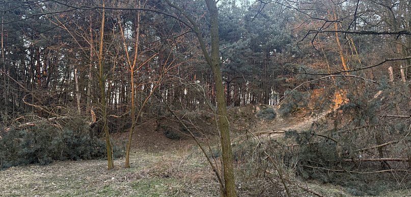 Zapomniany kirkut nad Wartą