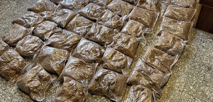 Akcja poznańskiej Policji na terenie Środy. Zatrzymany 41-latek