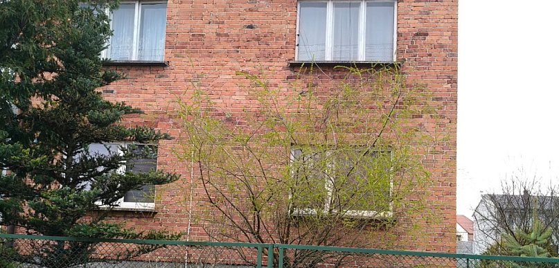 Została sama z córką i nastoletnią siostrą