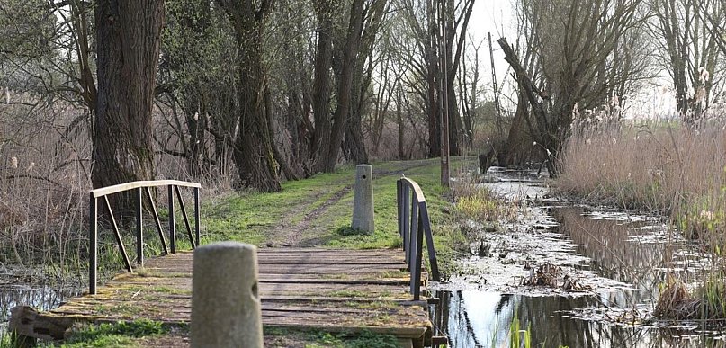 Potęga Giecza i nieodkryte skarby jeziora Biskupice