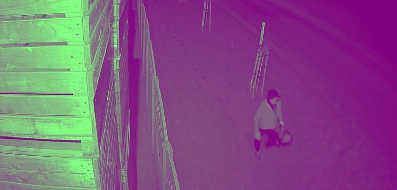 Wysoka nagroda za wskazanie sprawców