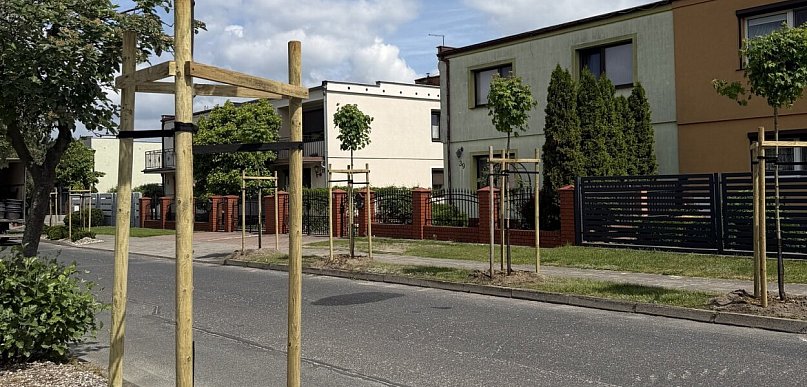 Więcej zieleni w mieście