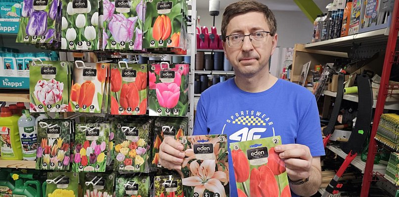 RomTech: Cebulki kwiatowe – jesienny obowiązek każdego ogrodnika - 23192