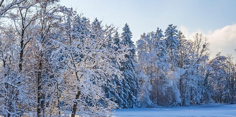 Nadal ślisko na drogach i chodnikach. Sylwester w zimowej scenerii - 24205