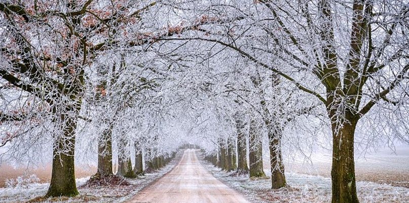 Ostrzeżenie meteorologiczne na dzisiejszą noc - 24283