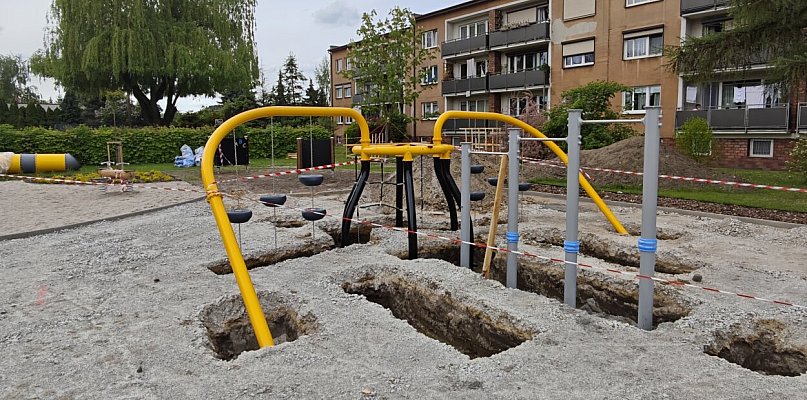 Pszczeli plac zabaw nabiera kształtów