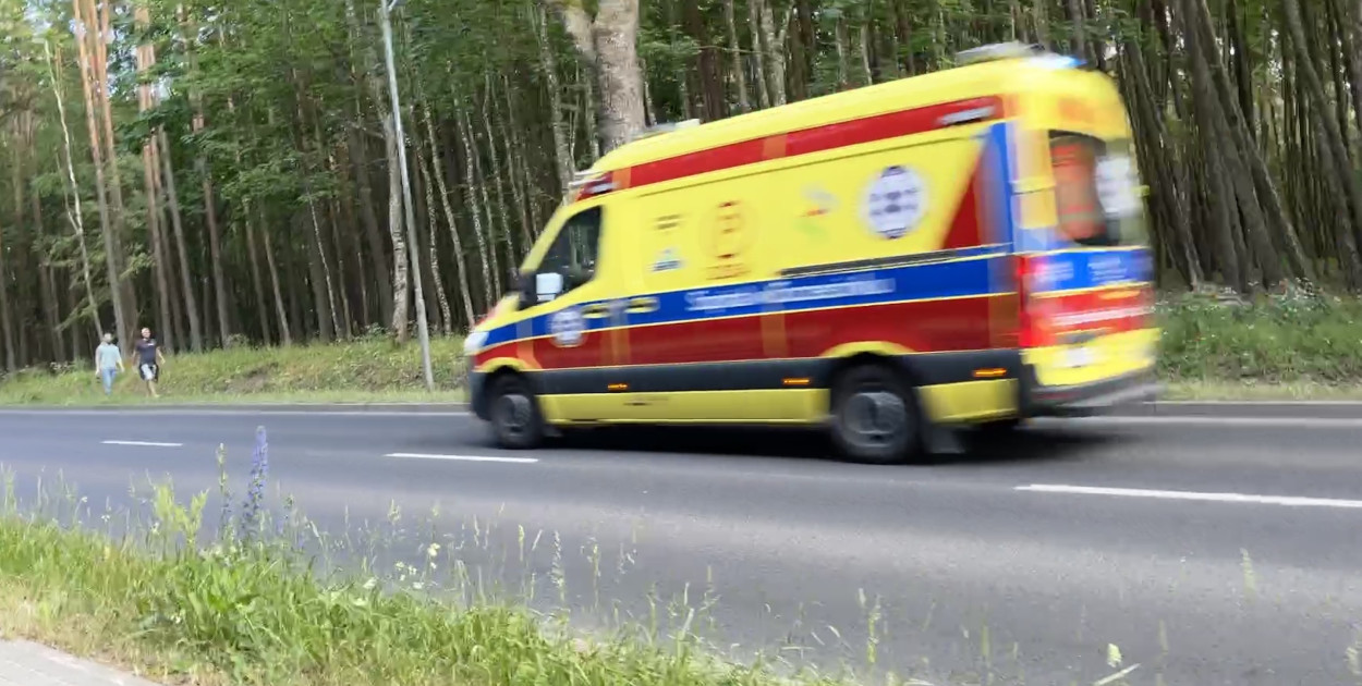 Fot. Marcin Szydlik / siecportali.pl