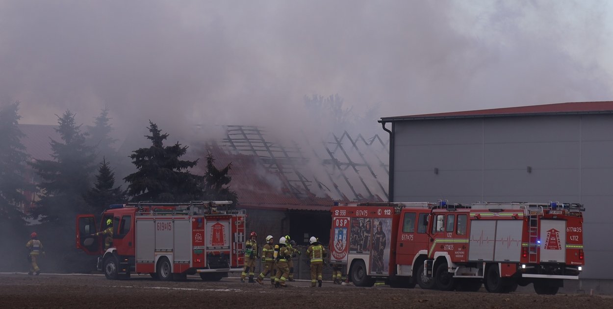 Pożar niedaleko Środy Wielkopolskiej. W budynku były zwierzęta