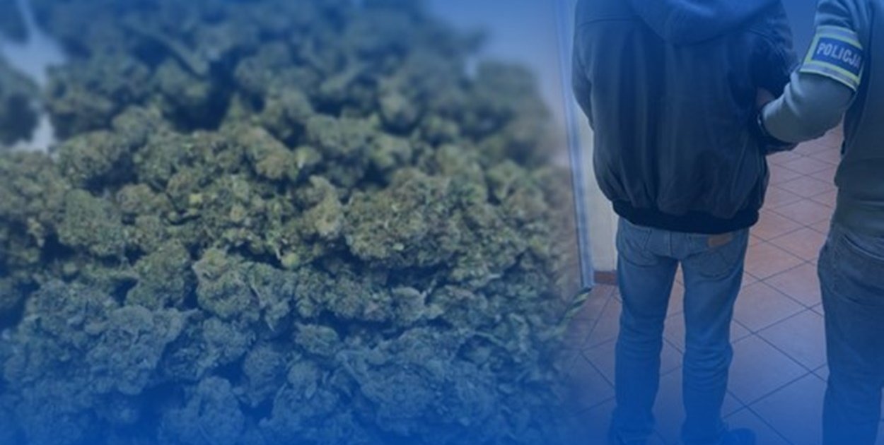 Rośnie liczba przestępstw narkotykowych. Zatrzymany mieszkaniec powiatu średzkiego