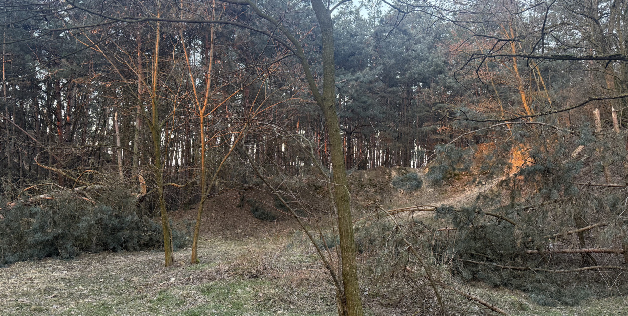 Zapomniany kirkut nad Wartą