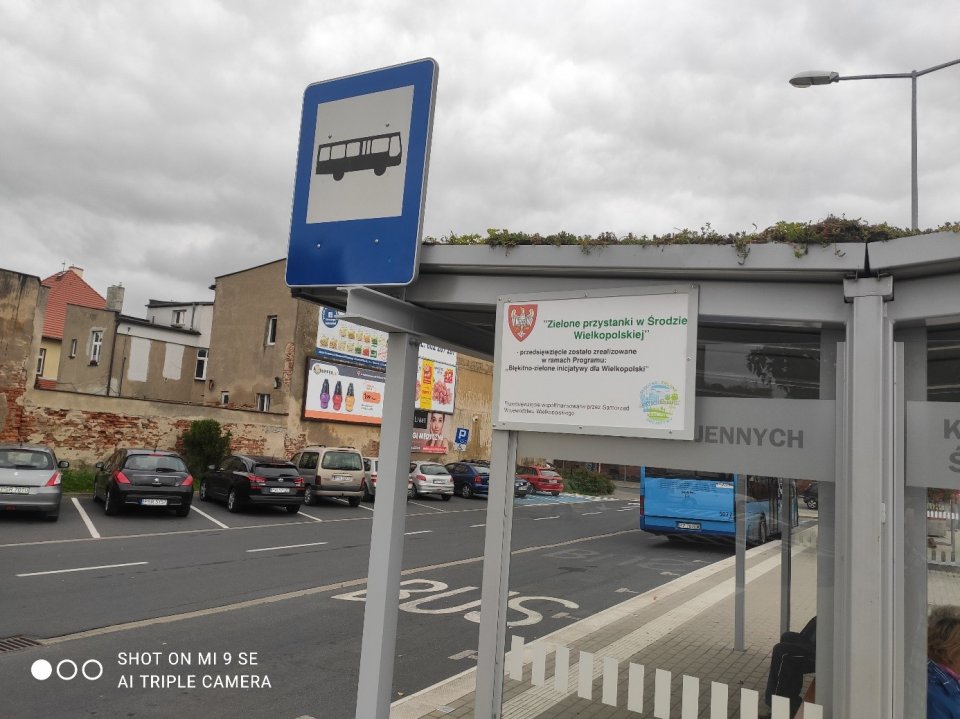 Przy ulicy Inwalidów Wojennych wykonano dwa zielone dachy ekstensywne na przystankach autobusowych Fot. Urząd Miejski w Środzie